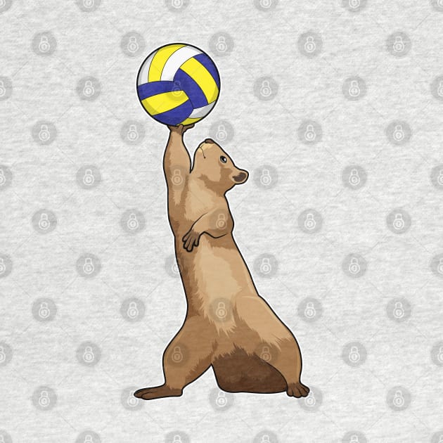 Squirrel with Volleyball by Markus Schnabel